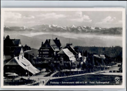 Delcampe - Feldberg Schwarzwald Hotel Feldbergerhof - Feldberg