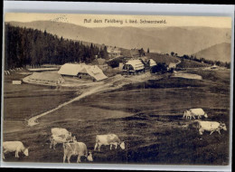 Delcampe - Feldberg Schwarzwald - Feldberg