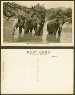 Delcampe - Ceylon Old Real Photo Postcard Elephants Crossing A River Scene Elephant Animals - Sri Lanka (Ceylon)