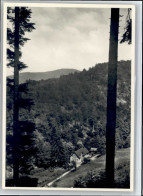 Delcampe - BADENWEILER BW Bergmannsruhe - Badenweiler