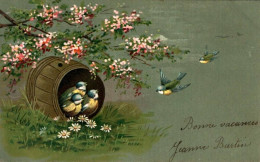 Delcampe - M1608 - OISEAUX - Lot De 3 Cartes Postales Dont 2 Gaufrés - Vogels
