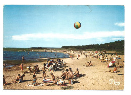 Delcampe - Biscarosse - Camping La Rive - La Plage - En Bordure Du Lac - Entre Biscarosse Et Sanguinet - Année 1972 - Phlogophilie - Biscarrosse