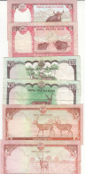 Delcampe - CRBX0302 LOTE DE 12 BILLETES NEPAL DIFERENTES CIRCULADOS - Népal
