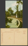 Delcampe - Australia Old Colour Postcard Acclimatization Gardens, Brisbane, Palm Trees Pond - Autres & Non Classés