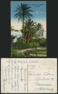 Delcampe - BERMUDA 1924 Old Colour Postcard Date Palms St. Georges - Bermuda