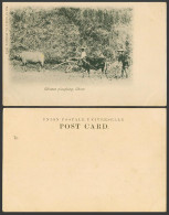Delcampe - China HK Old UB Postcard Chinese Ploughing Native Farmer Water Buffalo Buffaloes - China