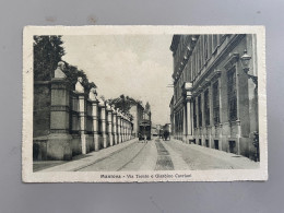 Delcampe - MANTOVA VIA TRENTO E GIARDINO CAVRIANI - Mantova