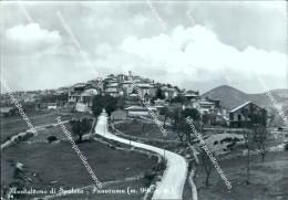 Delcampe - Ae723 Cartolina Spoleto  Provincia Di Terni - Terni