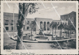Delcampe - Ae732 Cartolina Orvieto Accademia Femminile Fascista Provincia Di Terni - Terni