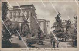 Delcampe - Ao592 Cartolina Cosenza Citta' Giardini Pubblici E Palazzo Del Governo - Cosenza