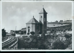 Delcampe - Ah717 Cartolina Vibo Valentia Pineta E Chiesa Della Madonnina - Vibo Valentia
