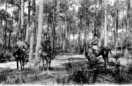 Delcampe - D64 - ANGLET - TROIS CHASSEURS A CHEVAL DANS LA FORET DE PINS - Anglet