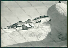 Delcampe - Vercelli Scopello Alpe Mera Nevicata Foto FG Cartolina ZK2120 - Vercelli