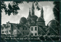 Delcampe - Padova Basilica Orto Foto FG Cartolina KV7524 - Padova (Padua)
