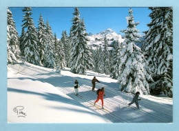 Delcampe - CP Sports D'hier - Evasion En Ski De Fond - Wintersport
