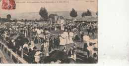 Delcampe - 84  CAVAILLON     L'HYPPODROME - Cavaillon
