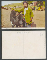 Delcampe - China Old Postcard Inner Mongolia Native Mongolian Cow Boy Cowherd Calf 黑牛追牧童 蒙彊 - China