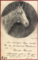 Delcampe - Handgemalt CPA Pferd, Tierportrait - Sonstige & Ohne Zuordnung
