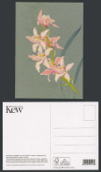 Delcampe - Dendrobium Loddigesii Orchid Flower Rankafu Woodblock By Zuigetsu Ikeda Postcard - Blumen