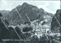 Delcampe - Ao603 Cartolina Orsomarso Panorama Visto Da Ovest Provincia Di Cosenza - Cosenza