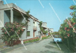 Delcampe - Ao647 Cartolina Marina Di Belvedere  Provincia Di Cosenza - Cosenza