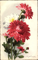 Delcampe - Artiste CPA Klein, Catharina, Rote Blumen, Chrysanthemen - Sonstige & Ohne Zuordnung
