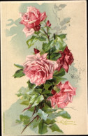 Delcampe - Artiste CPA Klein, Catharina, Blumen, Rosen - Sonstige & Ohne Zuordnung