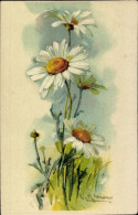 Delcampe - Artiste CPA Klein, Catharina, Blumen, Margeriten - Sonstige & Ohne Zuordnung