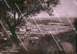 Delcampe - Ao664 Cartolina Cosenza Citta' Panorama - Cosenza