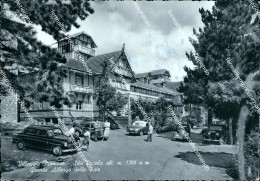 Delcampe - Ao681 Cartolina Villaggio Mancuso Sila Piccola Grande Albergo Delle Fate Auto - Cosenza