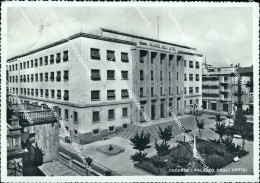 Delcampe - Ao686 Cartolina Cosenza Citta' Palazzo Degli Uffici - Cosenza