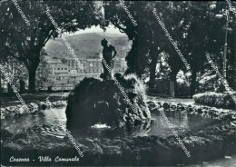 Delcampe - Ao687 Cartolina Cosenza Citta' Villa Comunale - Cosenza