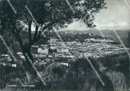 Delcampe - Ao688 Cartolina Cosenza Citta' Panorama - Cosenza
