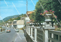 Delcampe - Ao667 Cartolina Vibo Valentia Lungomare - Vibo Valentia