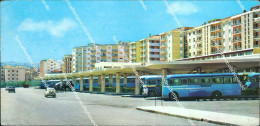 Delcampe - Ao701 Cartolina Cosenza Citta' Stazione Autolinee - Cosenza