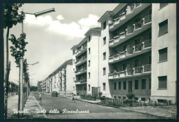 Delcampe - Vercelli Città Viale Della Rimembranza Auto Foto FG Cartolina MZ4377 - Vercelli