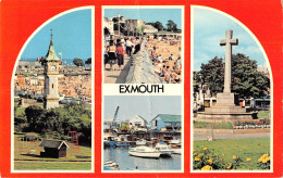 Delcampe - Uk8702 Exmouth Uk - Sonstige & Ohne Zuordnung