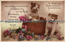 Delcampe - R138555 A Wish For Birthday Gladness. Like Sunbeams On A Summer Day. Rotary Phot - Monde