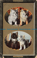 Delcampe - R138997 One Summers Day. Country Cousins. A. And G. Taylors. Orthochrome Series - Monde