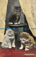 Delcampe - R138998 Keeping Watch. Wild And Kray. Series No. 1307. 1911 - Monde