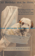 Delcampe - R138561 All Birthday Joy Be Thine. My Fondest Greetings Take. No. 1006. 1918 - Monde