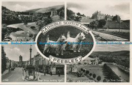 Delcampe - R139590 Double Scotch From Peebles. Multi View. White. Best Of All. RP - Monde