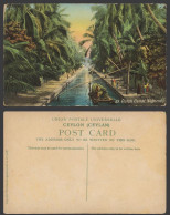 Delcampe - Ceylon Old Colour Postcard Dutch Canal Negombo Native Padda Boats Palm Trees 29. - Sri Lanka (Ceylon)