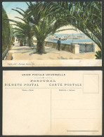 Delcampe - Portugal Old Colour Postcard CASCAES Passeio Maria Pia Street Scene & Palm Trees - Non Classés