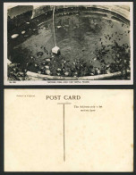 Delcampe - PENANG TURTLES TORTOISE Chinese Temple Ayer Itam Temple Old Real Photo Postcard - Non Classés