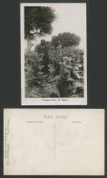 Delcampe - Nigeria Old Real Photo Postcard Tobacco Farm N. Nigeria Native Black Farmer Tree - Non Classés