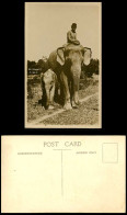 Delcampe - Federated Malay States Elephants F.M.S Elephant Cub 1920 Old Real Photo Postcard - Malesia