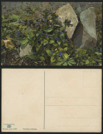 Delcampe - Pulmonaria Officinalis Old Postcard BLUE FLOWERS Stones - Blumen