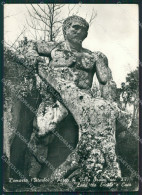 Delcampe - Viterbo Bomarzo Villa Orsini Foto FG Cartolina ZK3161 - Viterbo