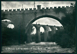 Delcampe - Cuneo Dronero Ponti Sul Maira Foto FG Cartolina MZ1178 - Cuneo